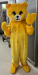 Teddy costume